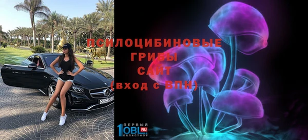 PSILOCYBIN Алексеевка