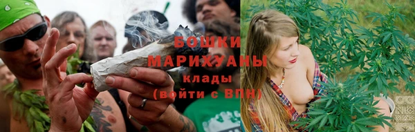 PSILOCYBIN Алексеевка